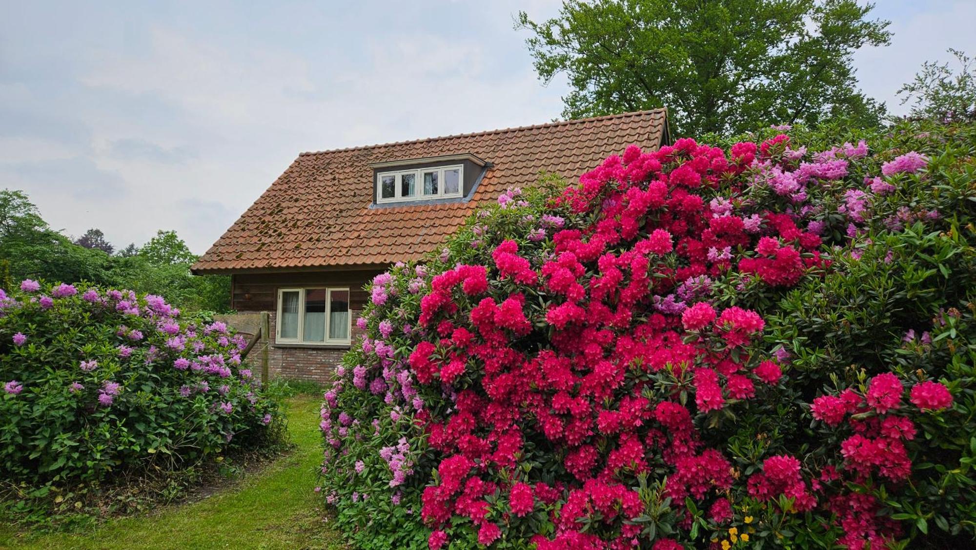 Holiday Home Countryside, Langbroek / 돈 외부 사진